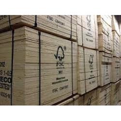 Plywood 18 MM cdx