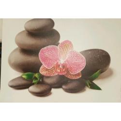 Beautiful canvas Photos