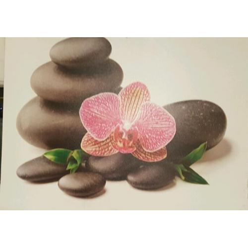 Beautiful canvas Photos