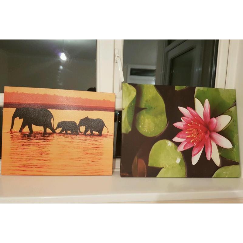 Beautiful canvas Photos