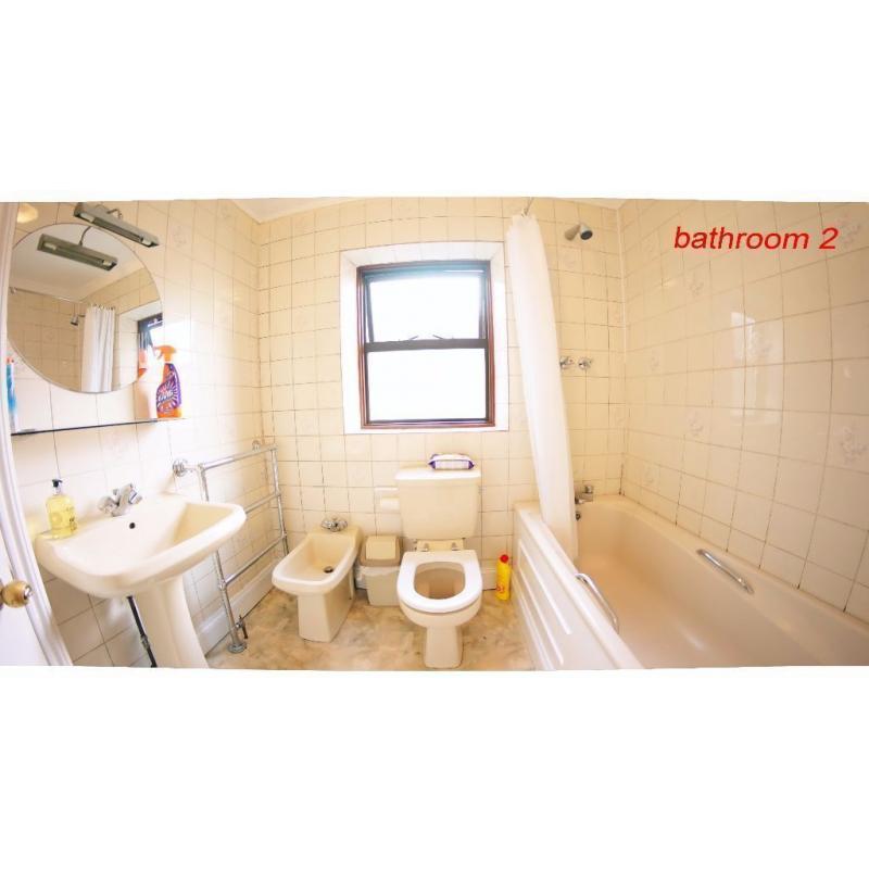 Female London House Flat Share, Double Size Room Single Price -- mint pie