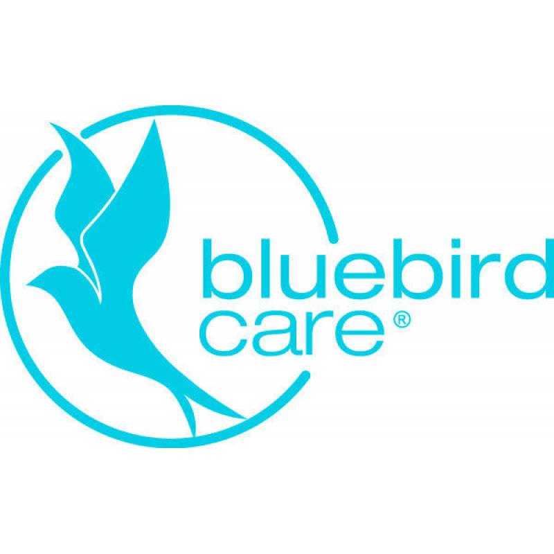 Bluebird Care - Care Workers Bridport