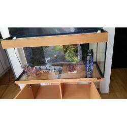 Juwel rio 180 litre fish tank and stand full setup with external filter