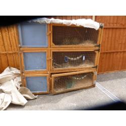 Triple rabbit hutch