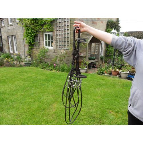 Horses bridle.