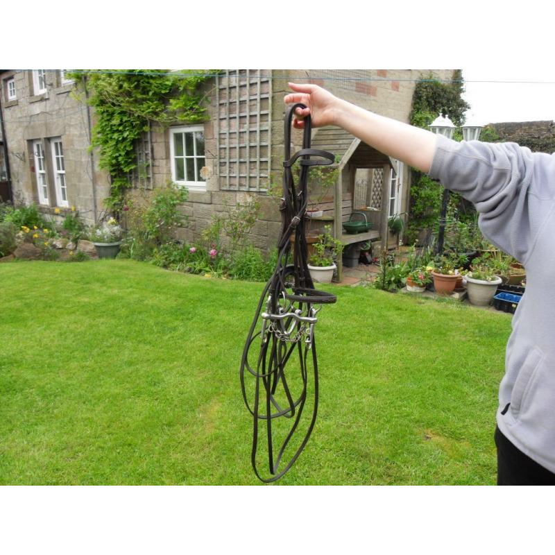 Horses bridle.