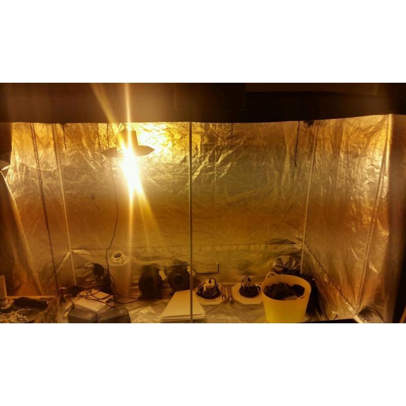 Full hydroponics set up