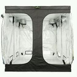 senua 2mx2m grow tent