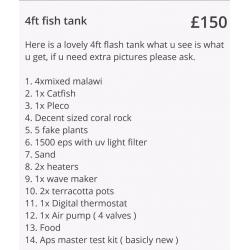 4ft fish tank