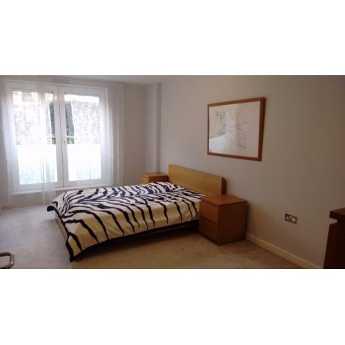 Very Large room on Canada Water, Zone 2. All bills included!