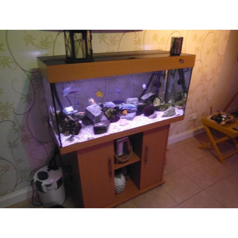JUWEL RIO 180 Litre Aquarium Complete setup , inc cabinets and external filter.
