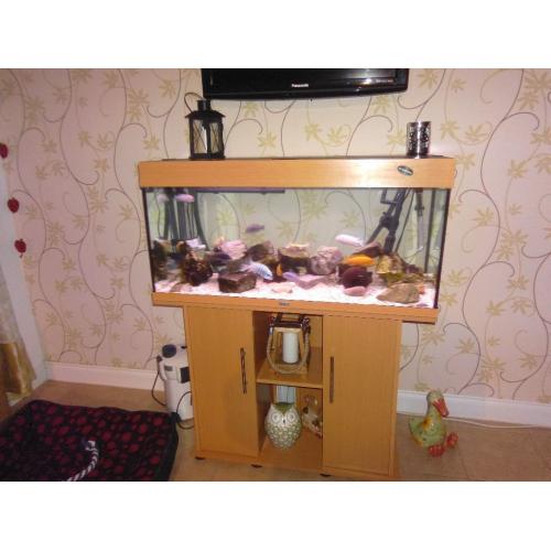 JUWEL RIO 180 Litre Aquarium Complete setup , inc cabinets and external filter.
