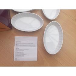 Creme Brûlée Set - Torch and 4 oval Dishes. Boxed, used once. Collection Netley Abbey