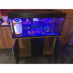 Aqua one vouge 280ltr black/brown 4ft fish tank aquarium