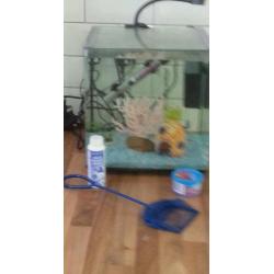 Fish tank and accessories