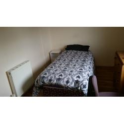 Short term let June 24th - July 21st. : Central Single Room