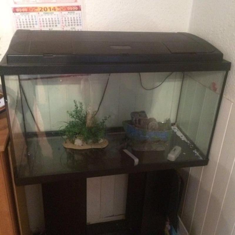Large fish tank for sale