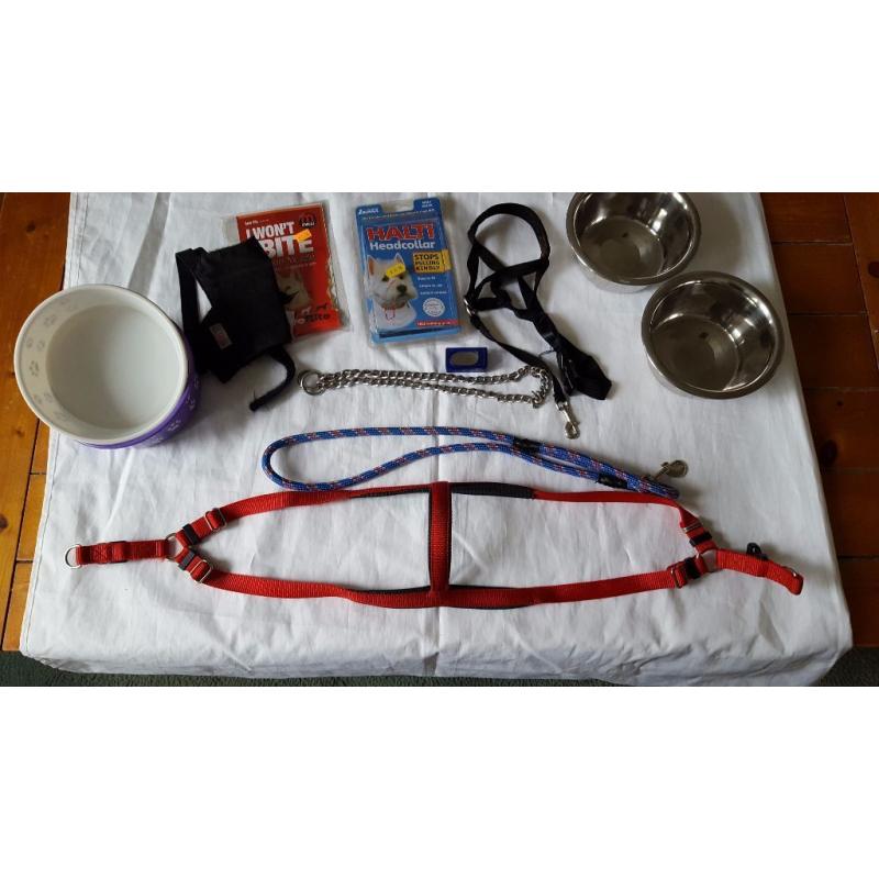 Dog harness,halti etc