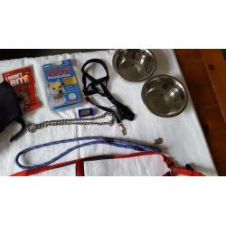 Dog harness,halti etc