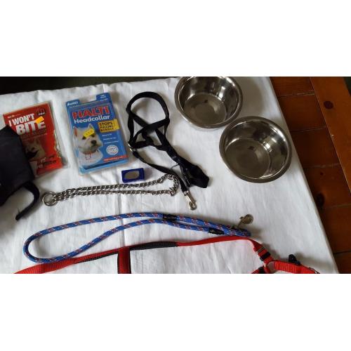 Dog harness,halti etc