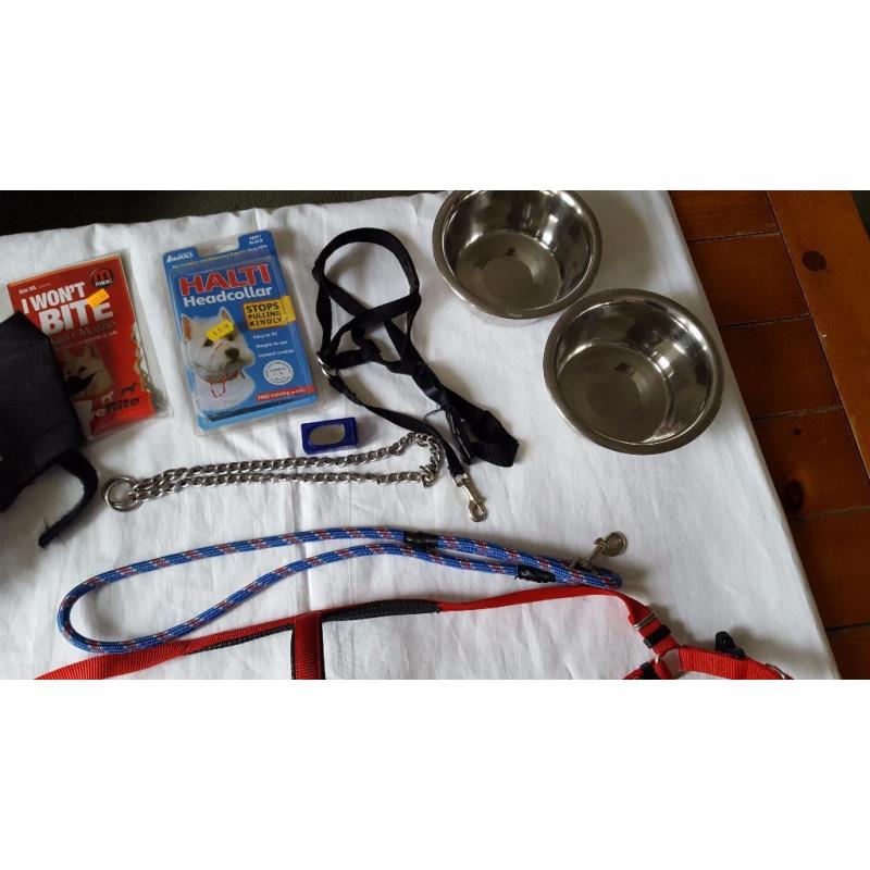 Dog harness,halti etc