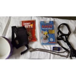 Dog harness,halti etc
