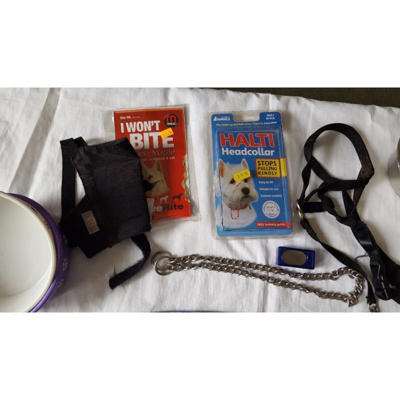Dog harness,halti etc