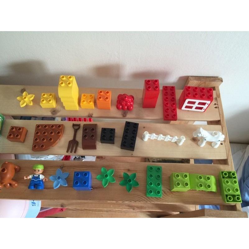 Duplo my first garden