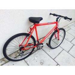 Raleigh red mountain bike gcdfvb