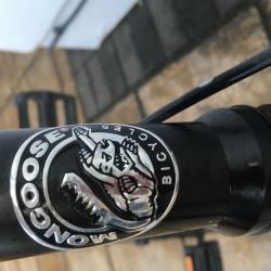 BMX Mongoose Scan R60