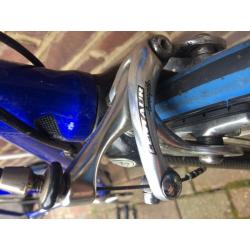 Campagnolo Road Bike