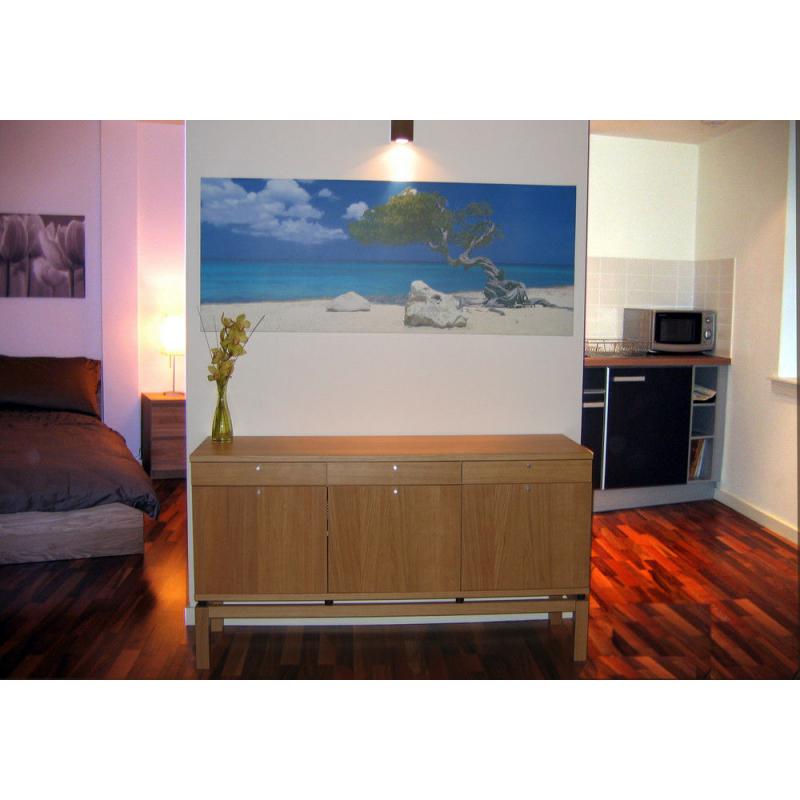 Cosy Twin Room in 2 Bedroom Apartment in Grassmarket, Edinburgh (10)