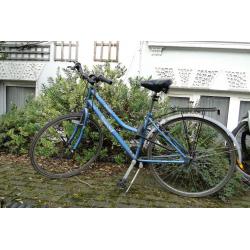 Ladies bike only 25 pounds!