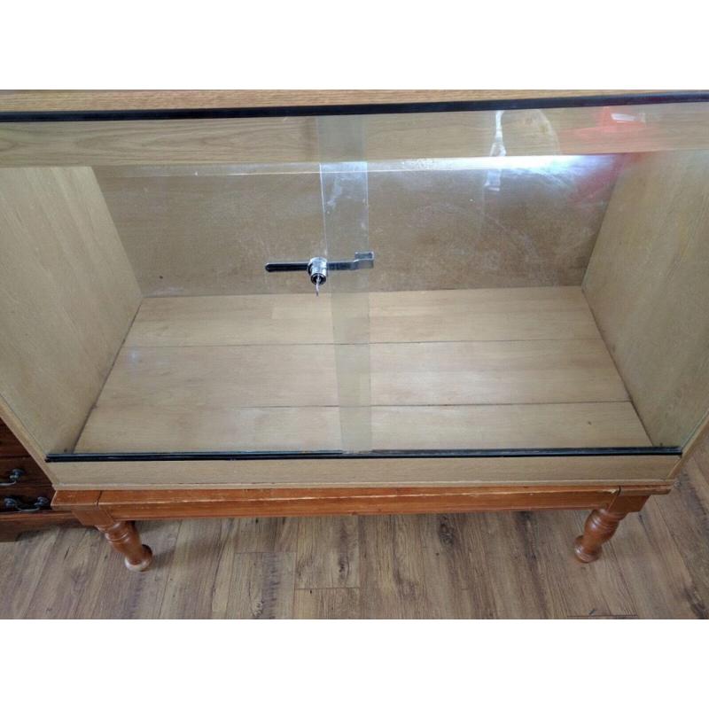 Large reptile vivarium