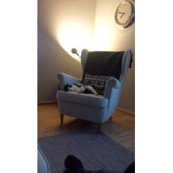 2 one year old cats for sale