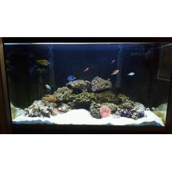 Fluval profile 1200 marine aquarium