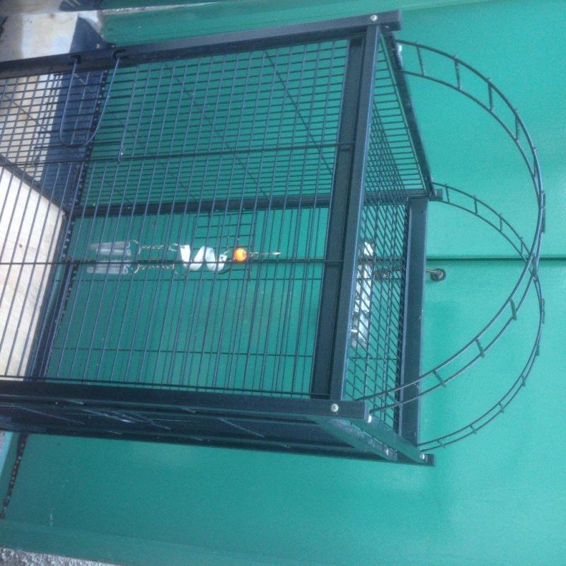 Large parott Cage