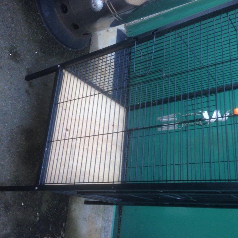 Large parott Cage