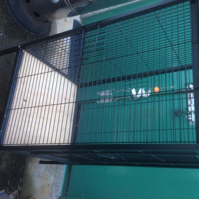 Large parott Cage