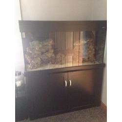 aqua one 400l
