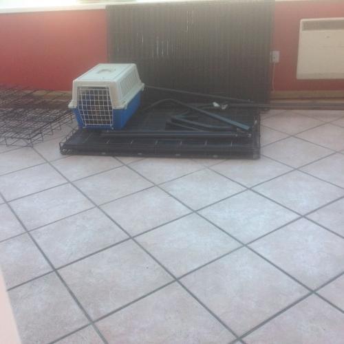 ***JUMBO DOG CAGES***