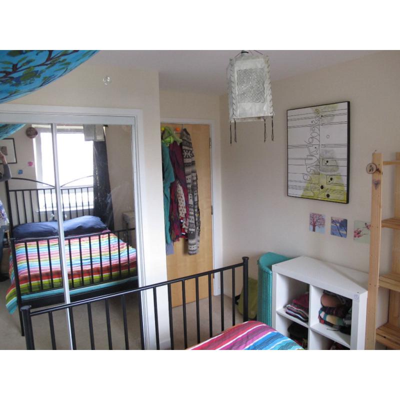 Festival Let: Double bedroom in colourful flat with great location - vegetarians/vegans please!