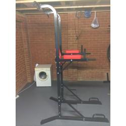 Pull up frame/power tower