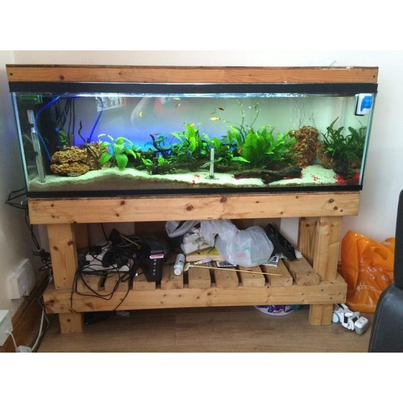 Tropical fish tank and stand