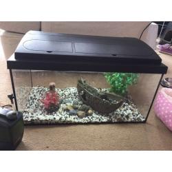 2ft fish tank aquarium tropical fresh water full set ornaments heater filter lamp book accessories