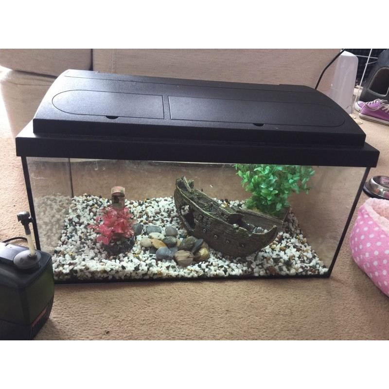 2ft fish tank aquarium tropical fresh water full set ornaments heater filter lamp book accessories