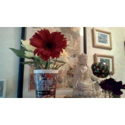 Readings,born very intuitive,own method balance of energy centres.Spanish language too