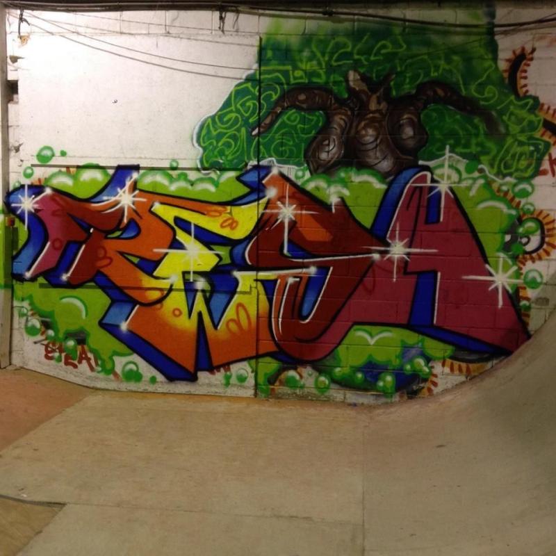 GRAFFITI ARTIST looking for commissions