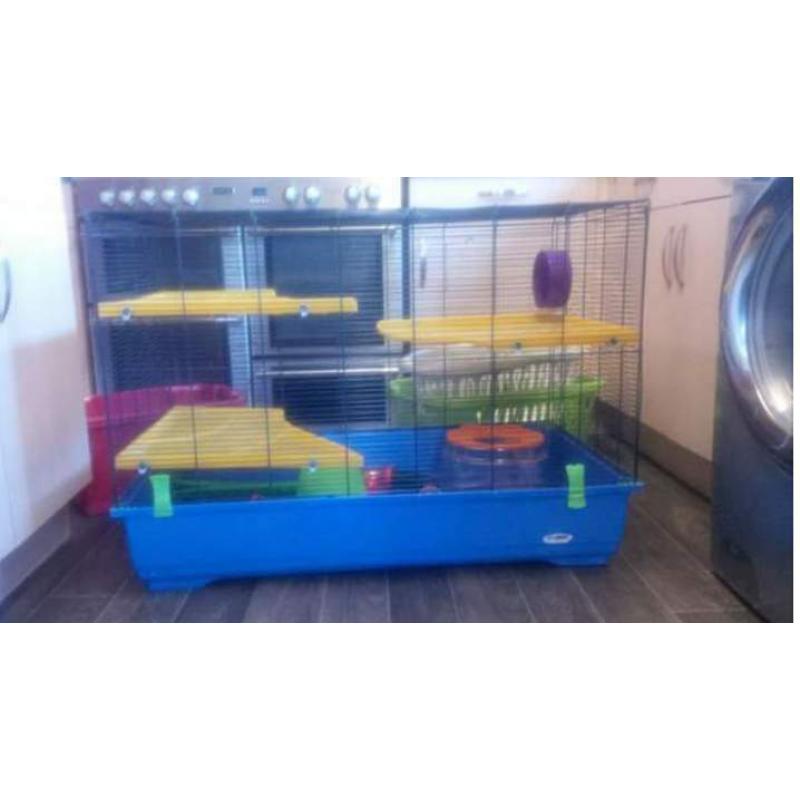 rodent cage