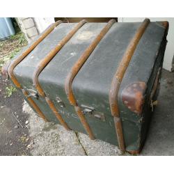 Ancient trunk